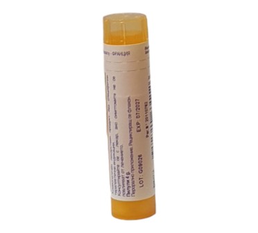 RHUS TOXICODENDRON 15 CH